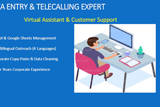 data entry, copy paste and tele calling