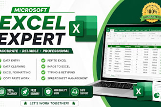 do data entry, data cleaning, formatting and typing