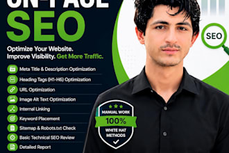 do professional on page SEO for your wordpress website