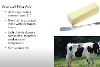 do content writing, PPT design and transcription