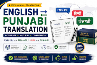 translate punjabi to hindi manually