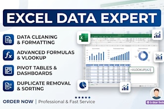 be your expert for excel vlookup and data analysis