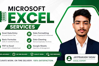 do microsoft excel data entry, data cleaning, formatting, PDF to excel