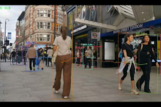 develop custom computer vision and yolo solutions