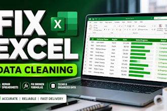 fix excel formulas, vlookup, data cleaning and dashboard