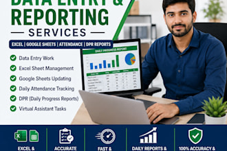 do professional data entry, excel and virtual assistant work