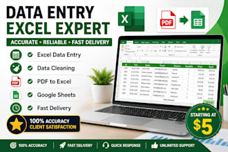 do data entry, excel data cleaning, and pdf to excel conver