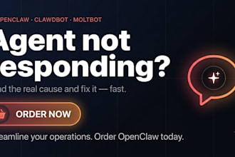install openclaw clawdbot molbot ai agent vps mac mini fix openclaw setup error