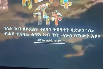 professionaly translate english to tigrinya and arabic