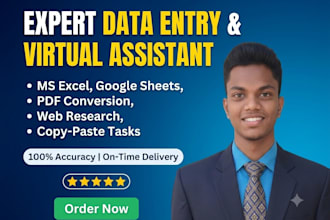 data entry, copy paste, data scraping, pdf to excel data entry