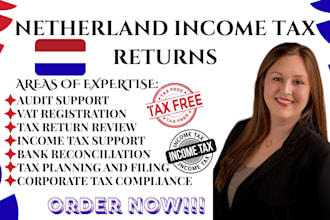 provide netherlands tax consultancy, aangifte inkomstenbelasting,and bookkeeping