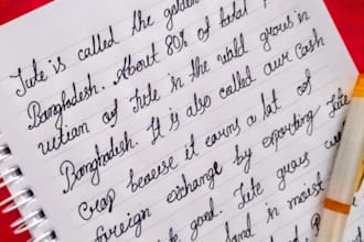 provide clean aesthetic handwriting service for you