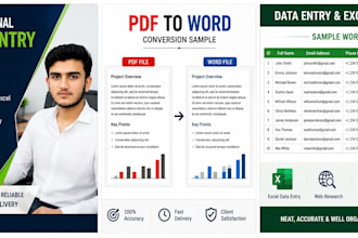 do accurate data entry, copy typing, PDF to word