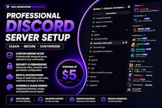 setup a professional discord server