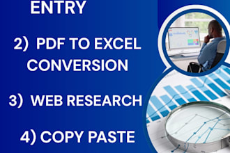 do professional data entry and excel data copy paste work
