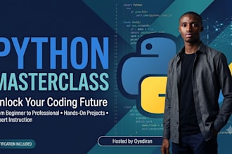 teach you python programming