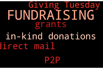 create a fundraising plan for your nonprofit