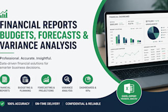 do financial reports, dashboards, budgets, forecasting and variance analysis