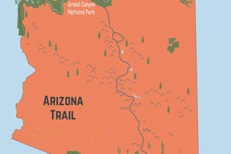 2d map illustration, vector map, fantasy map, dnd map, site plan, map design svg