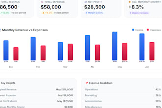 build a professional financial dashboard and budget tracker in excel