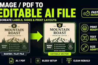 recreate your design into editable ai vector files