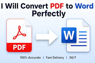 professional PDF to word data entry with 100 accuracy