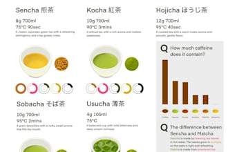 create minimalist infographic designs and clean editorial layouts