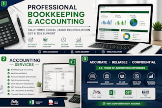 do professional accounting bookkeeping and bank reconciliation in excel and erp