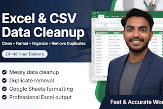 clean, format, and organize excel or CSV data