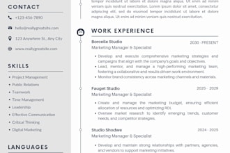design a professional CV and resume for you