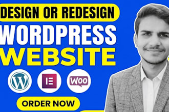 redesign revamp and modify your wordpress website