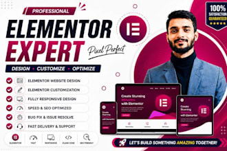 be your elementor expert and wordpress developer