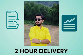 fast excel data entry, PDF to excel, vlookup in 2 hours