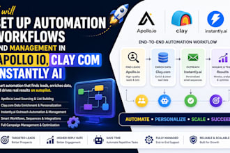 set up automation workflows and management in apollo io, clay com instant