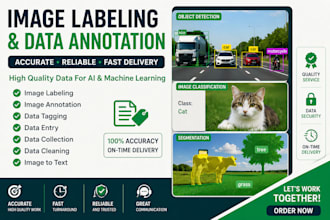 do image labeling, image annotation, and data tagging accurately