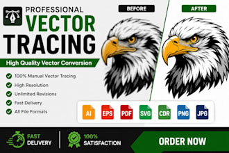 convert image to vector manually
