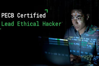 ethically get access as an hackers to access and gain entry, investigation