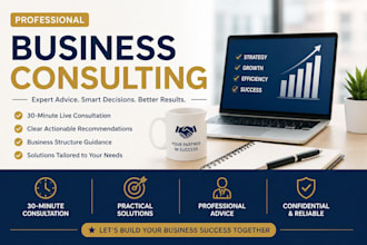 provide professional business consulting services