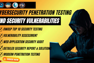 perform modern website penetration testing and owasp top 10 cybersecurity audit