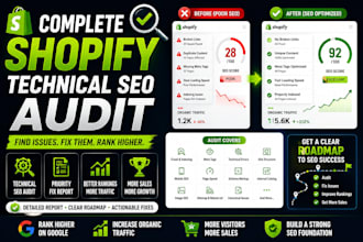 perform a complete shopify technical SEO audit