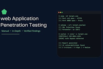 perform web application penetration testing and security audit