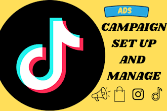 do tiktok ads tiktok ads management campaign creation tiktok manager