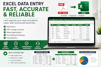 enter and organize excel data professionally