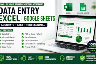exel  gloogle sheets specialist  data entry reports