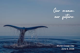 powerful storytelling content for ngos and social impact brands