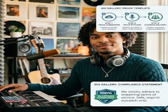 do targeted music promotion for hip hop pop and indie artists, spotify promotion