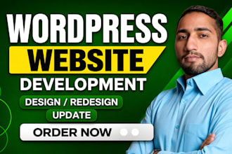 do website development, website design, wordpress website developmen in 24 hours