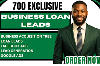 exclusive 700 USA business loan leads, business acquisition leads facebook ads