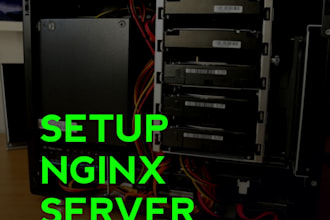 setup nginx server, SSL certificate, and cloudflare tunnel