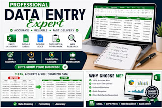 do professional data entr